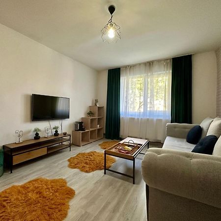 Londof Apartments- New Center Брашов Екстер'єр фото